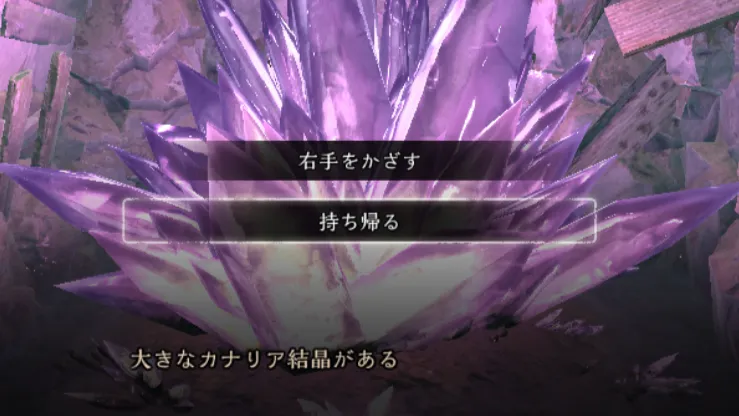 ダフネ_4週目_15