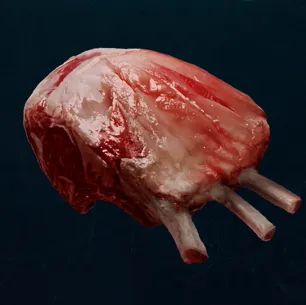 ビーストオブリンカネーション_獣の肉_アイコン