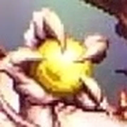 オクトラ0_竜黄玉_アイコン