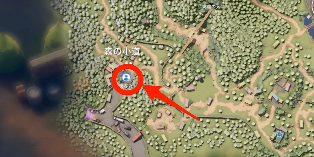 エリアゼロの森の小道から進入可能_マップ