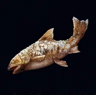 ビーストオブリンカネーション_焼いた魚_アイコン