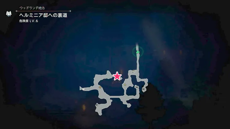 オクトラ0_ヘルミニア邸への裏道-2