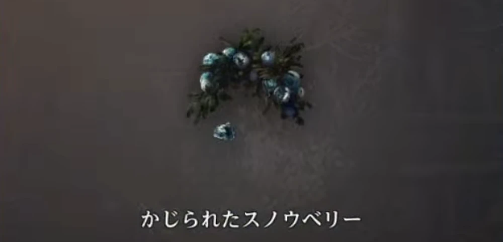 かじられたスノウベリーはノーカウント_スノウベリーの場所と注意点_ダフネ