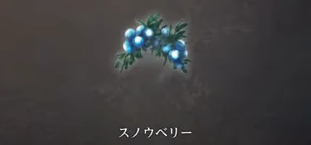 行程6でスノウベリーを集める_豪雪地帯イスベルク1周目攻略チャート_ダフネ