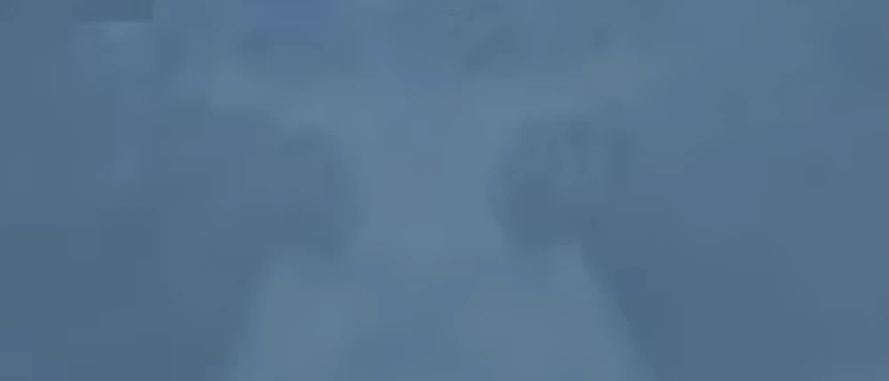 白い巨影は避ける_豪雪地帯イスベルク1周目攻略チャート_ダフネ