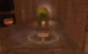 ダフネ_仕掛け罠