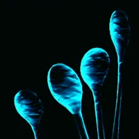 メトロイドプライム4_シマーストラップ_アイコン