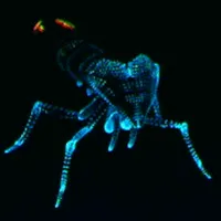 メトロイドプライム4_レッド・レリック・アント_アイコン