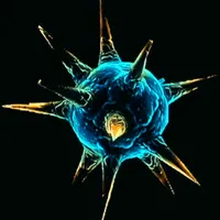 メトロイドプライム4_ホーミング・スポア_アイコン