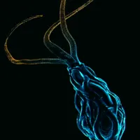 メトロイドプライム4_ルーツスパー_アイコン