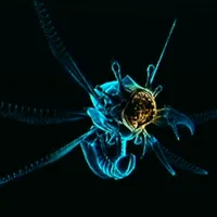 メトロイドプライム4_シュレン_アイコン