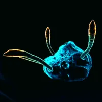 メトロイドプライム4_ヒートストラップ_アイコン