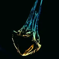 メトロイドプライム4_スワームフライヤー_アイコン