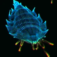 メトロイドプライム4_スノーローチ_アイコン