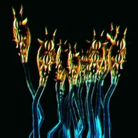 メトロイドプライム4_スネアウィード_アイコン