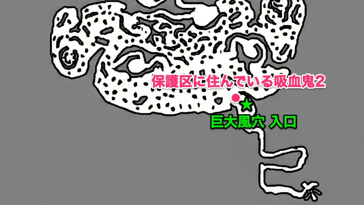 コードヴェイン_保護区に住んでいる吸血鬼2_マップ画像