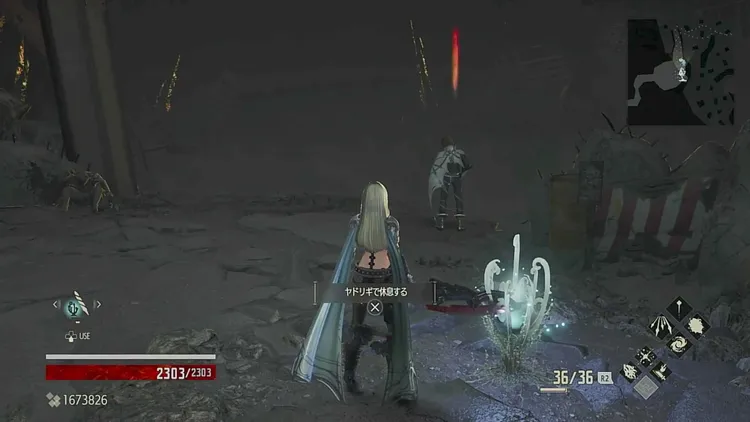 コードヴェイン_保護区に住んでいる吸血鬼3_周辺画像