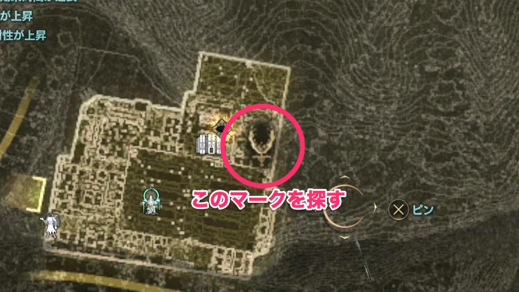 コードヴェイン2_鎮守の情念3