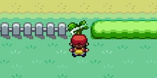 ファイアレッドリーフグリーン_自転車-4