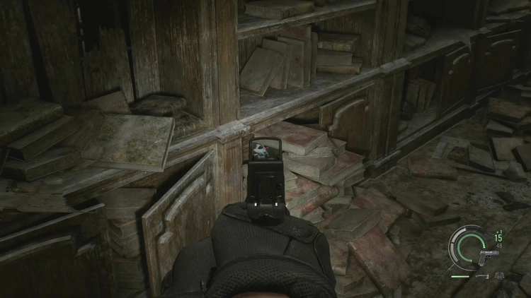 バイオ9_ラクーン君_ラクーン中心部3_周辺