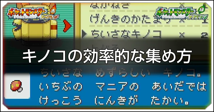 キノコの効率的な集め方_FLRG