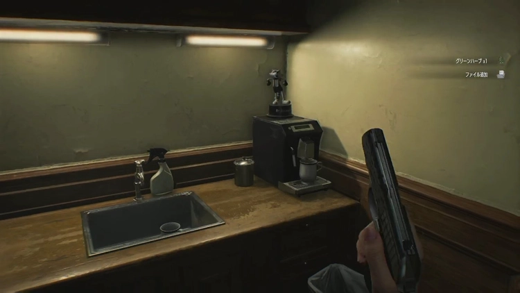 バイオ9_ラクーン君4_周辺