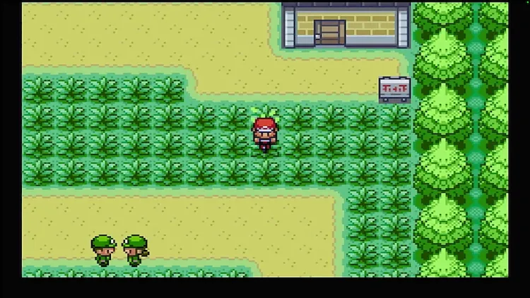 ポケモンFRLG_イーブイ_草むら