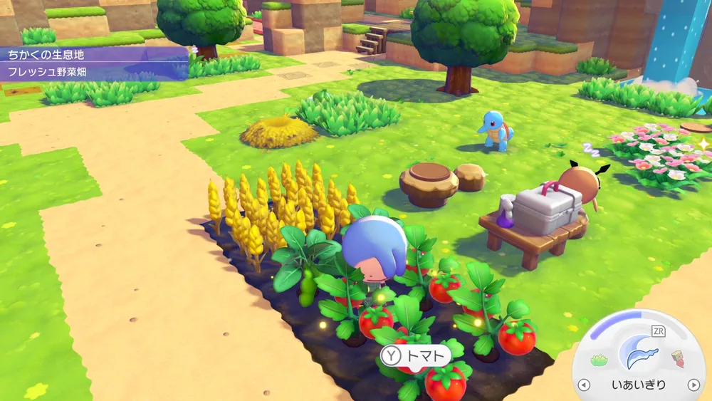 ぽこあポケモン_日課6