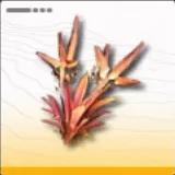 岩アンゲロス葉