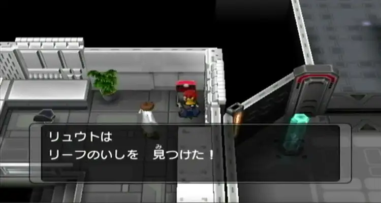 リーフのいし_ポケモンXD