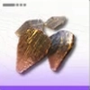 エンドフィールド_尾先の金鱗