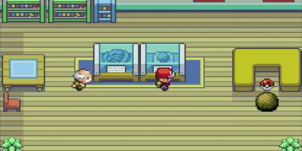 セキチク_ふしぎなアメ