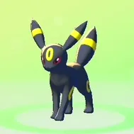 ぽこあポケモン_ブラッキー_アイコン