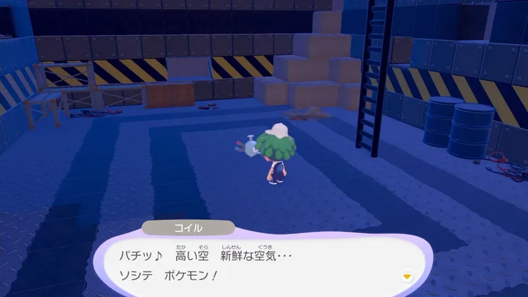ぽこあポケモン_クリア後_コイル