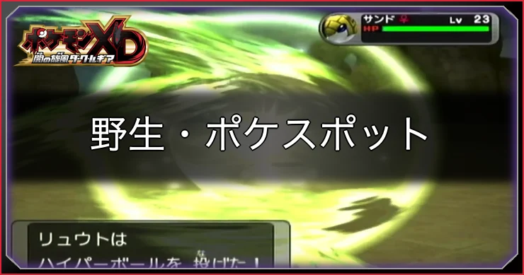 野生のポケモンは出てくる？