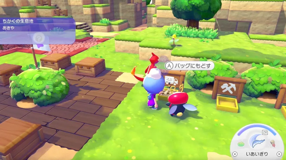 ぽこあポケモン_キット回収