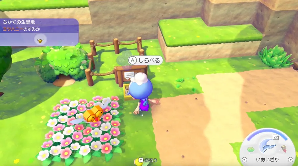 ぽこあポケモン_たてかえキット配置