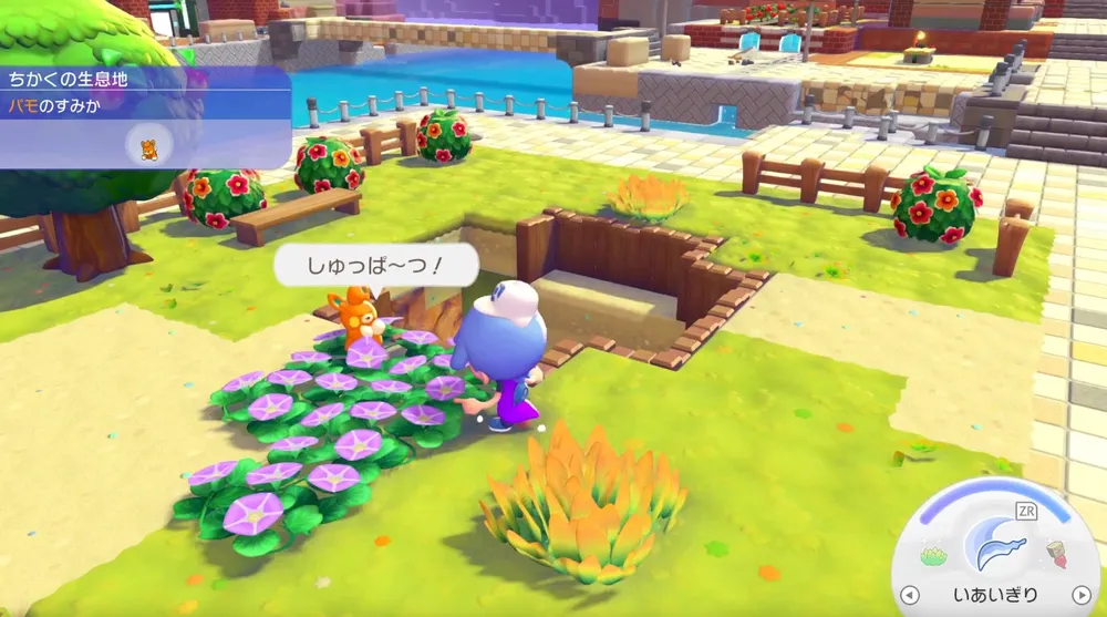 ぽこあポケモン_ポケモンを連れて歩く