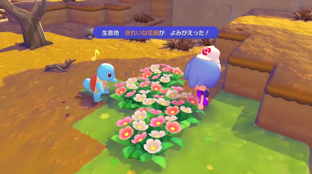 ぽこあポケモン_序盤の進め方1