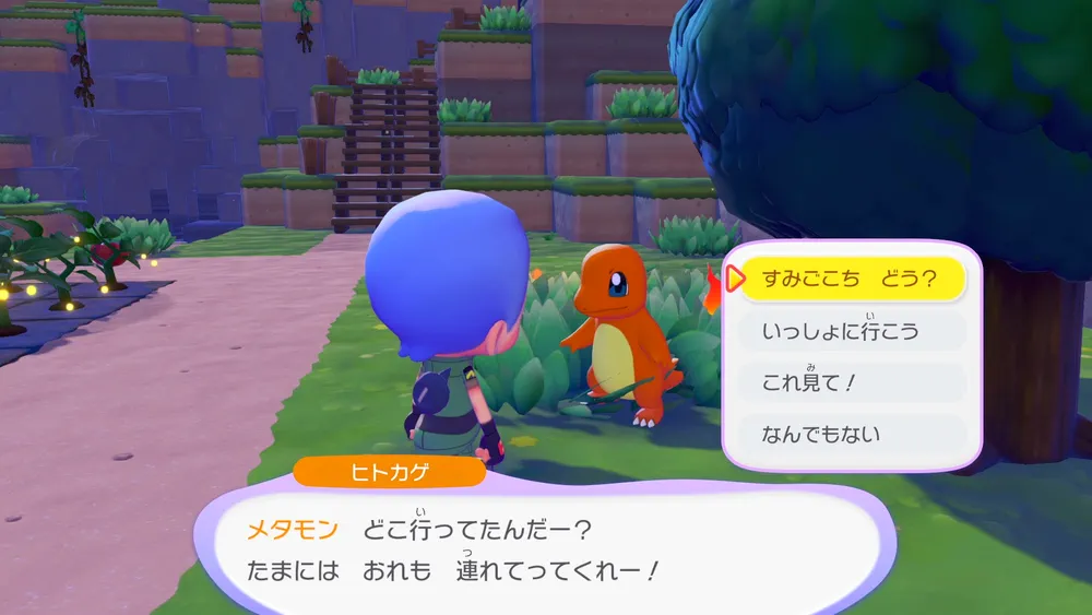 ぽこあポケモン_序盤のポイント1