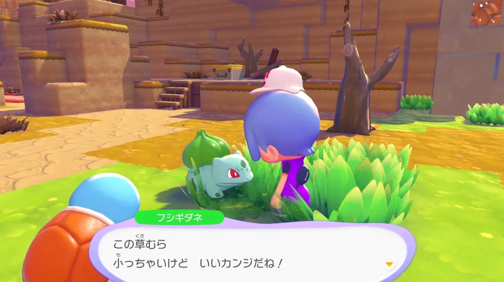 ぽこあポケモン_序盤のポイント3