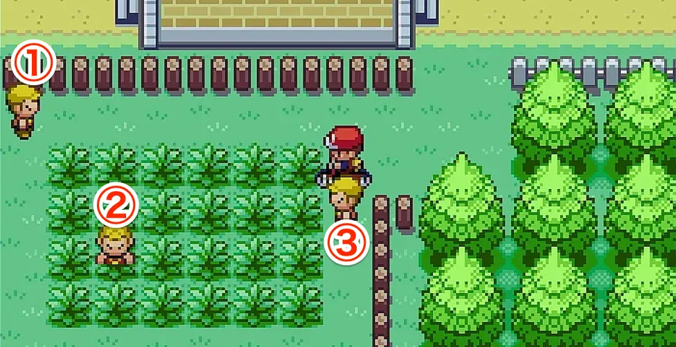 セキチクシティ左の鳥使い (1)