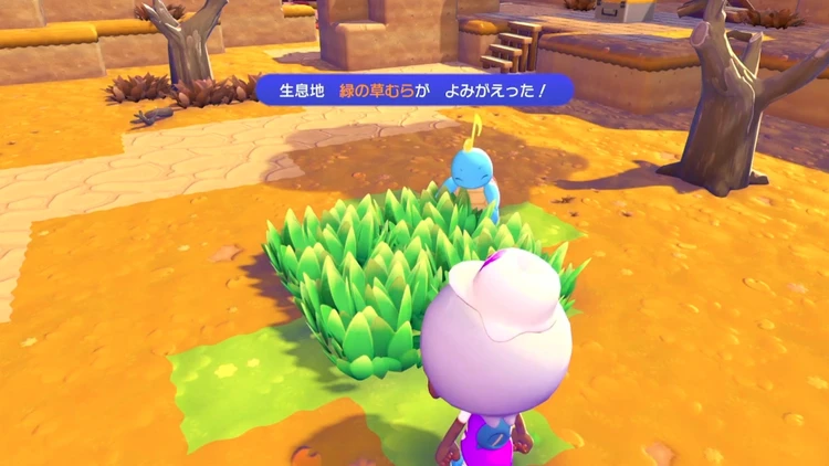 ぽこあポケモン_緑の草むら_バナー