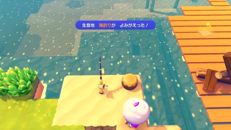 ぽこあポケモン_海釣り_バナー
