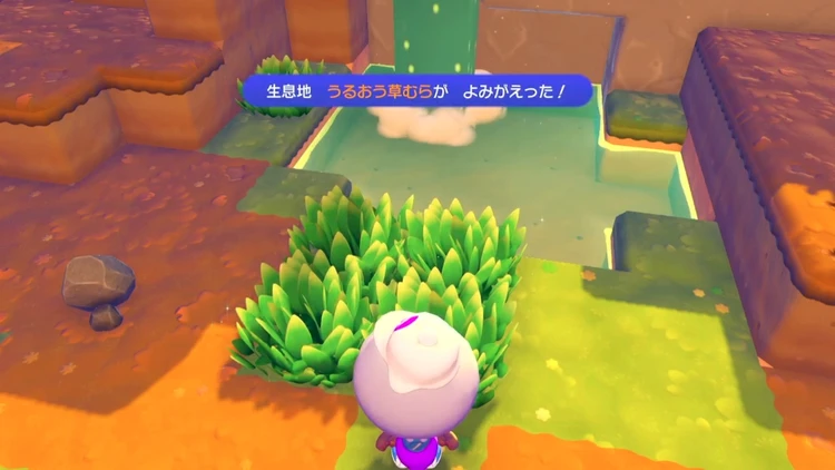 ぽこあポケモン_うるおう草むら_バナー