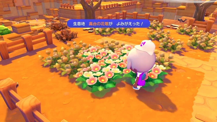 ぽこあポケモン_高台の花畑_バナー