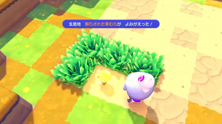 ぽこあポケモン_照らされた草むら_バナー