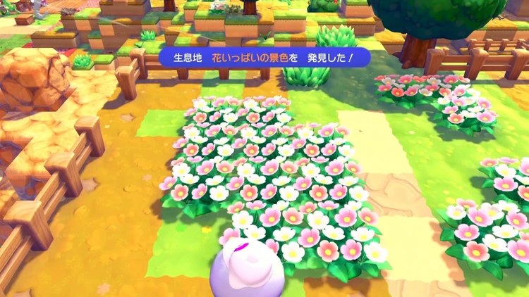 ぽこあポケモン_花いっぱいの景色_バナー