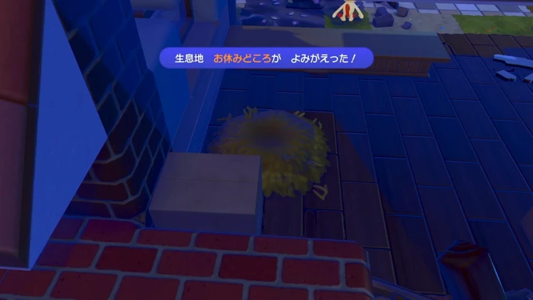 ぽこあポケモン_お休みどころ_バナー