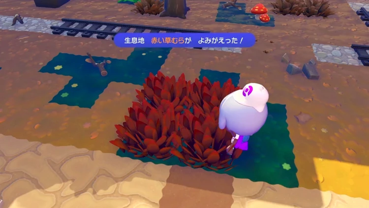 ぽこあポケモン_赤い草むら_バナー